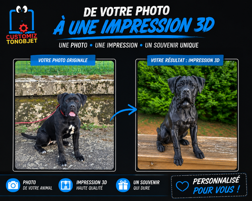 Figurine 3D personnalisée réalisée à partir d’une photo